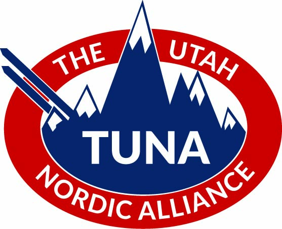 Website Logo