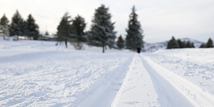 Mountain Dell Season Pass
